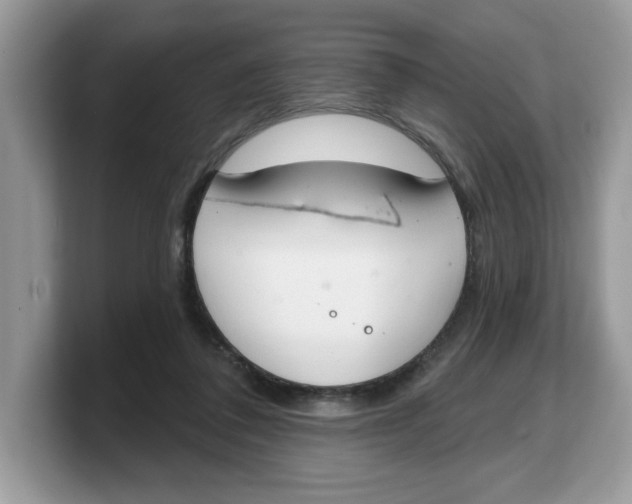 X0000103230308200809181529