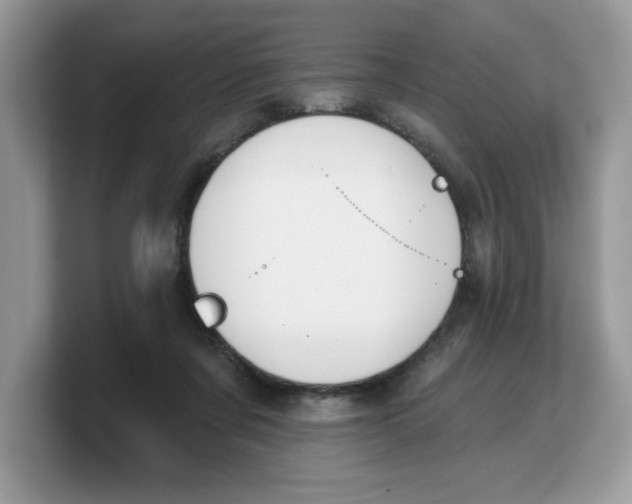 X0000103230311200809181529