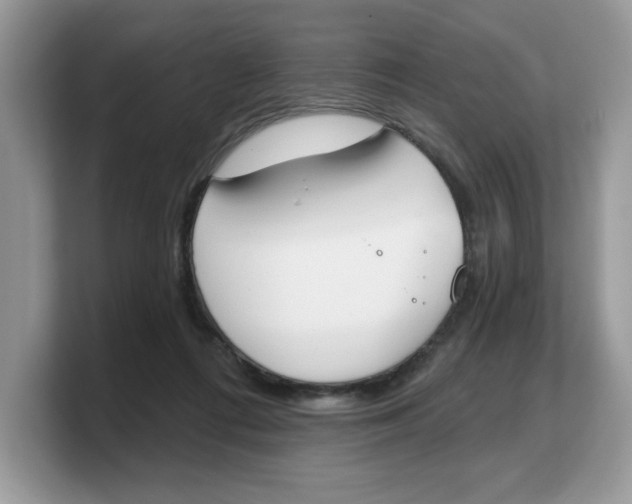 X0000103230312200809181529