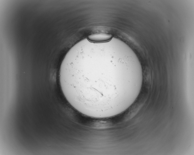 X0000103230315200809181529