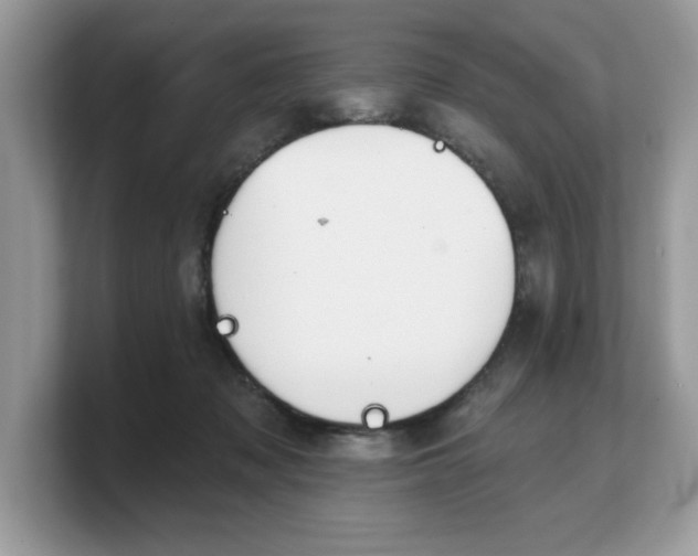 X0000103230317200809181529