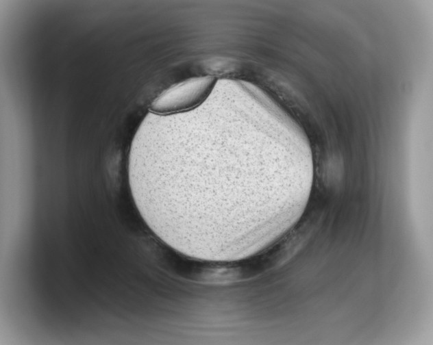 X0000103230319200809181529