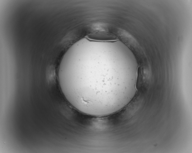 X0000103230320200809181529