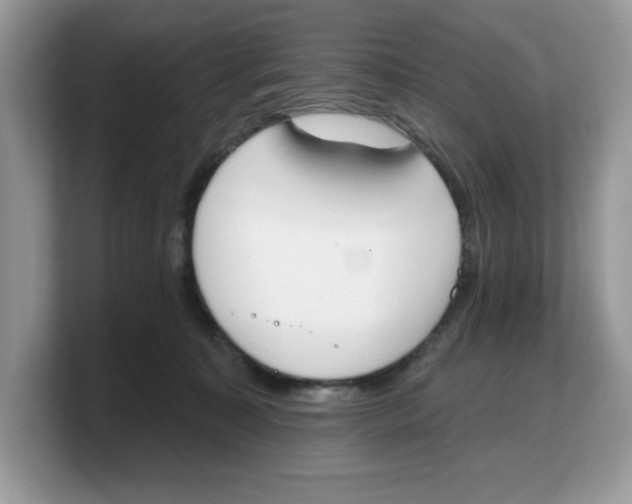 X0000103230323200809181529