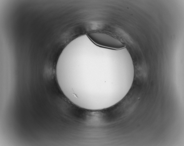 X0000103230324200809181529