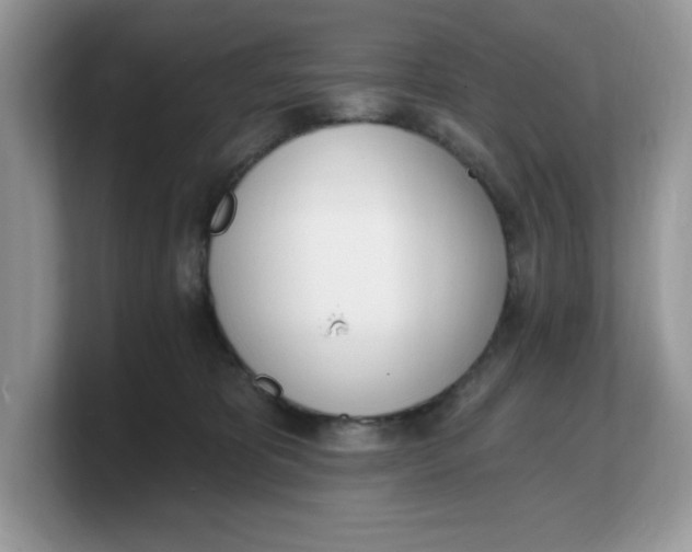 X0000103230325200809181529