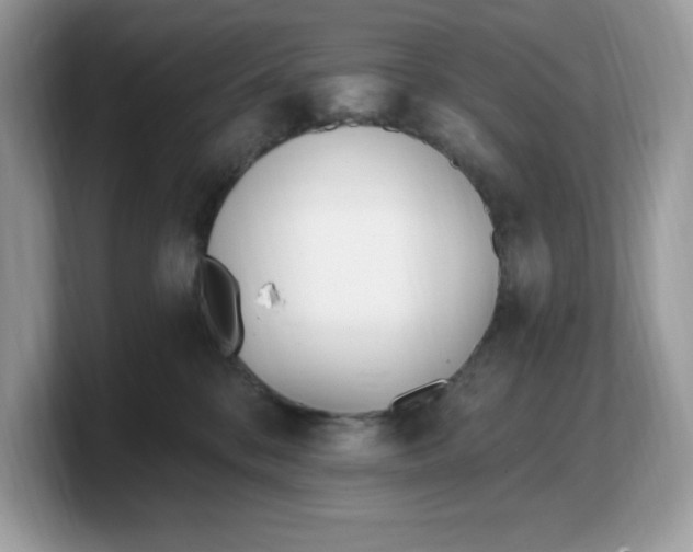 X0000103230328200809181529