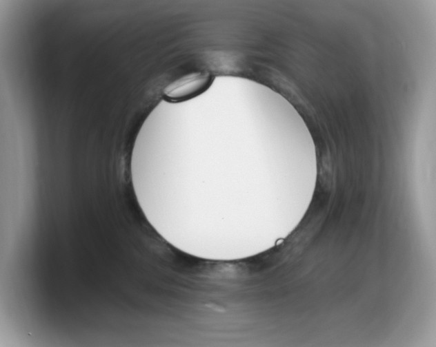 X0000103230330200809181529
