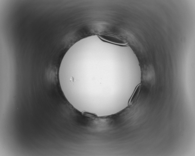 X0000103230332200809181529