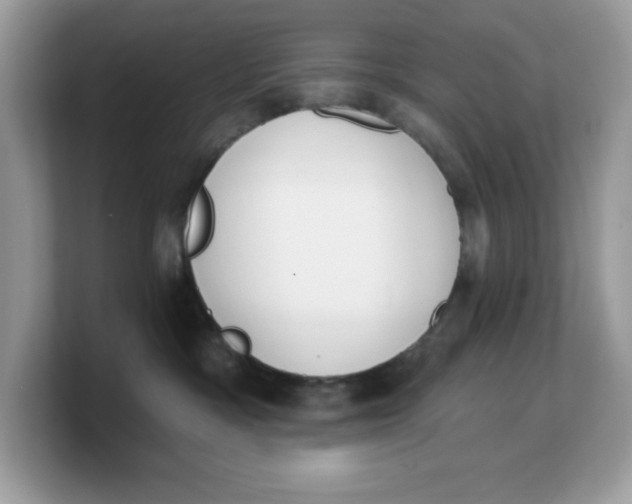 X0000103230333200809181529