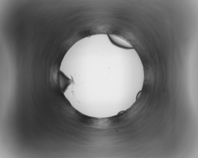 X0000103230334200809181529