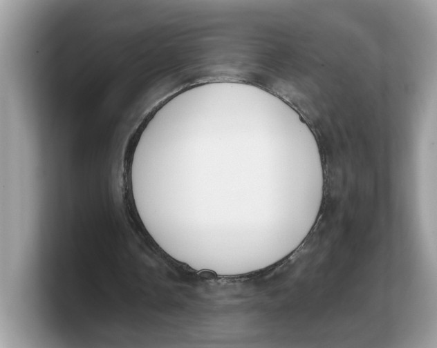 X0000103230338200809181528