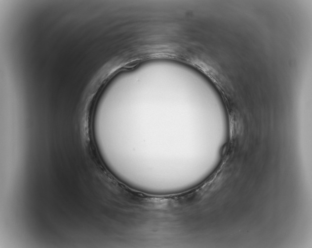 X0000103230339200809181528