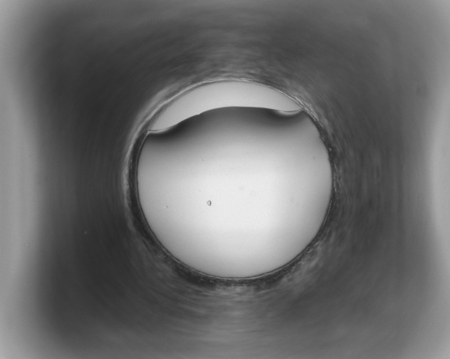 X0000103230340200809181528
