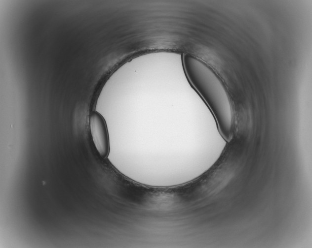 X0000103230348200809181528