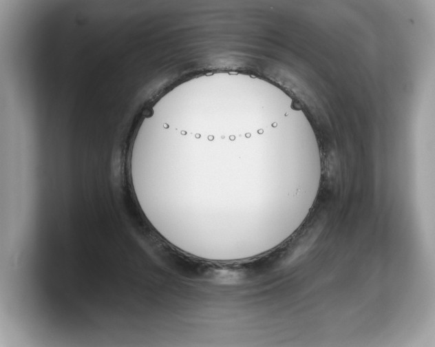 X0000103230352200809181528