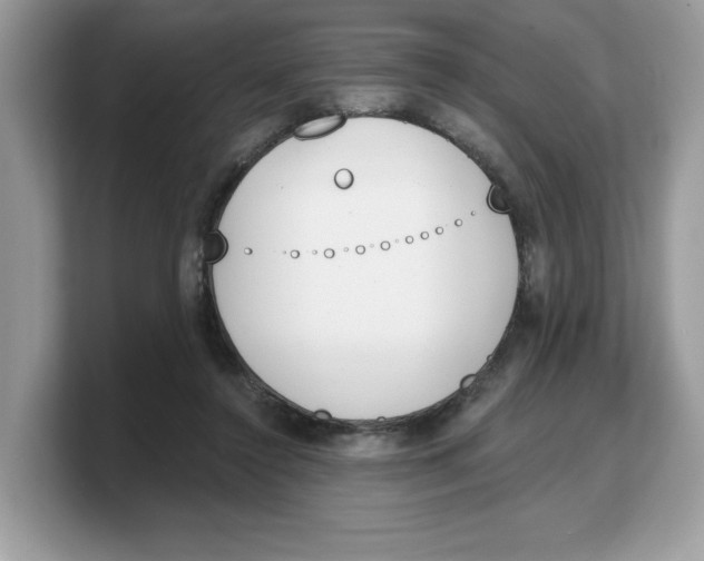X0000103230356200809181528