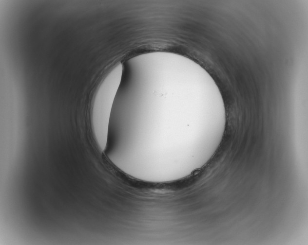 X0000103230360200809181528