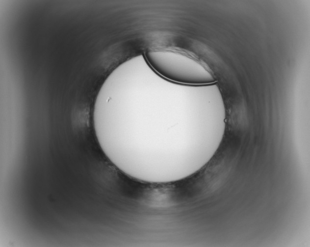 X0000103230368200809181528