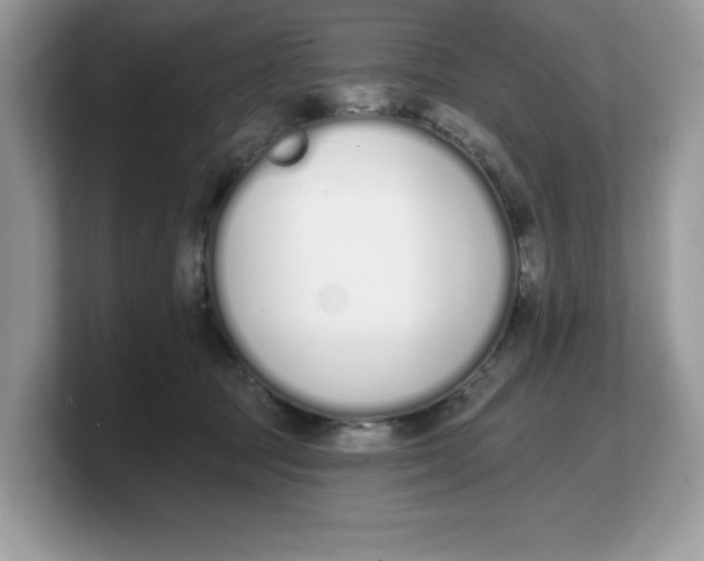X0000103230369200809181528