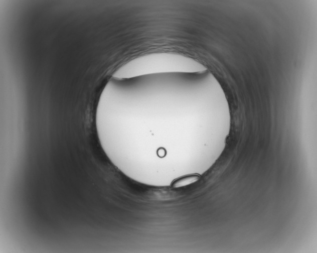 X0000103230372200809181529