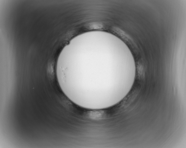 X0000103230373200809181529