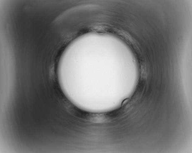 X0000103230377200809181529