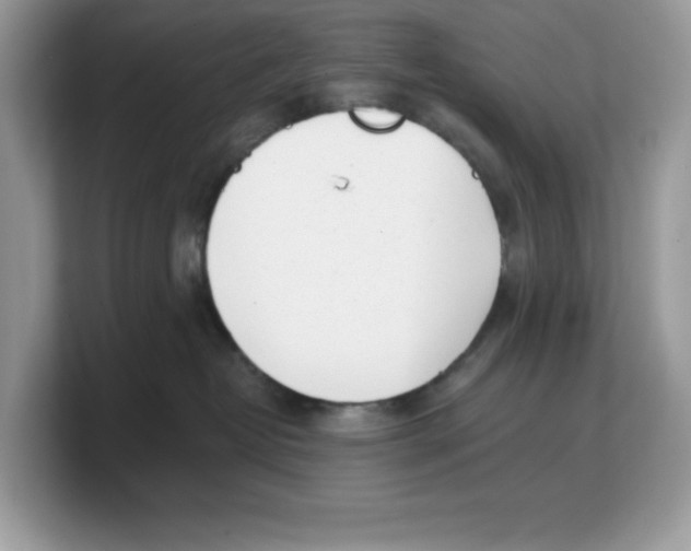 X0000103230382200809181529