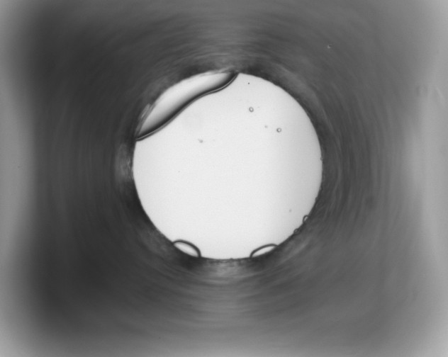 X0000103230384200809181529