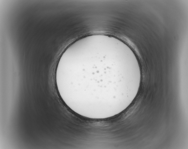 X0000103230385200809181528