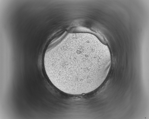 X0000103230386200809181528