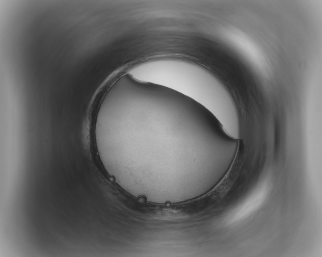 X0000103230387200809181528