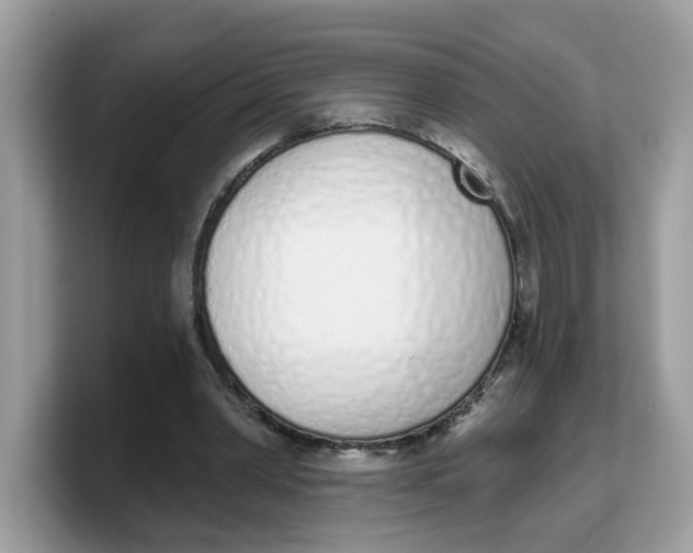 X0000103230390200809181528