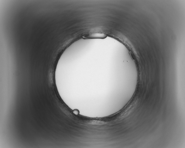 X0000103230393200809181528