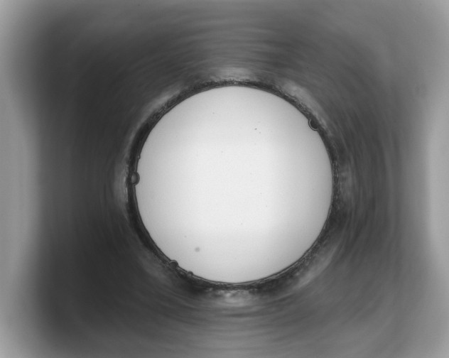 X0000103230395200809181528