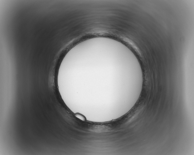 X0000103230399200809181528
