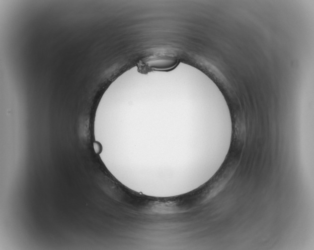 X0000103230403200809181528