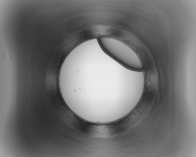 X0000103230409200809181528