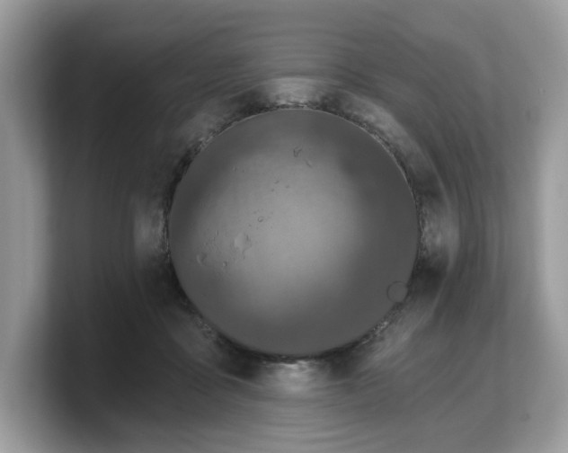 X0000103230411200809181528