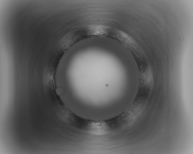 X0000103230415200809181528