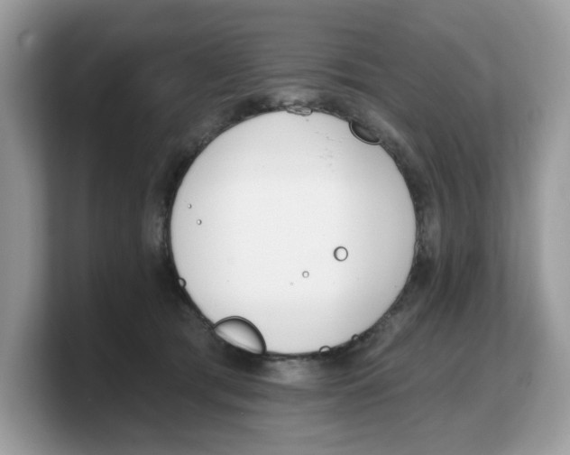 X0000103230417200809181528