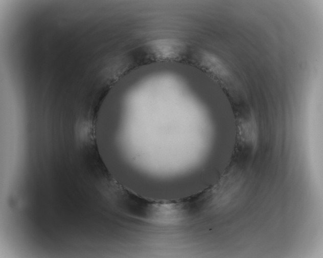 X0000103230419200809181528