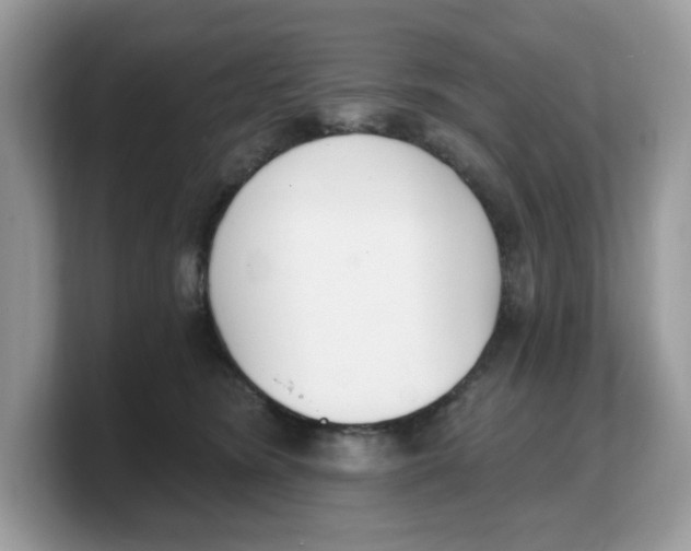 X0000103230420200809181528