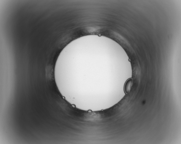 X0000103230421200809181528