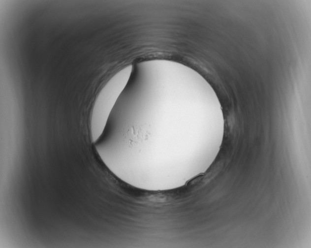 X0000103230423200809181528