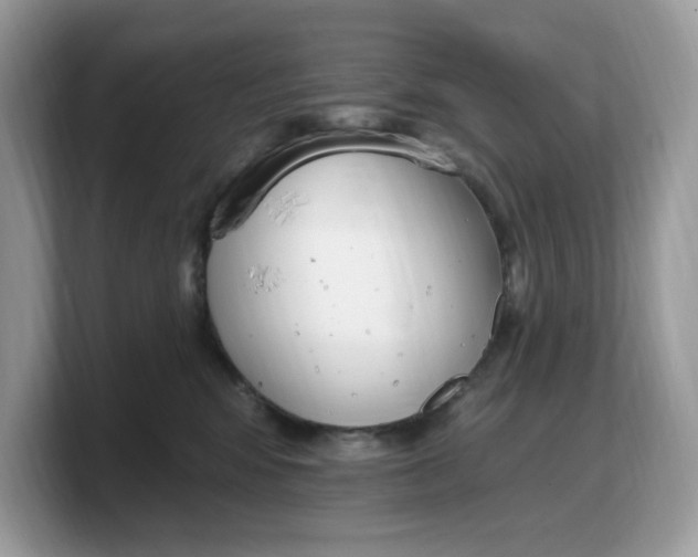 X0000103230424200809181528