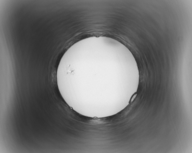 X0000103230425200809181528