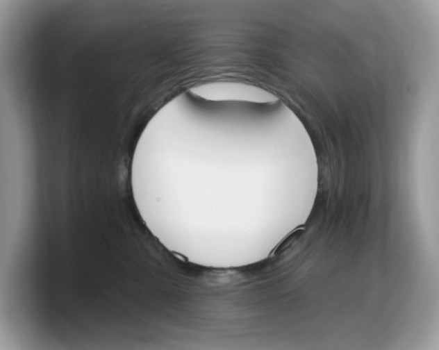 X0000103230427200809181528