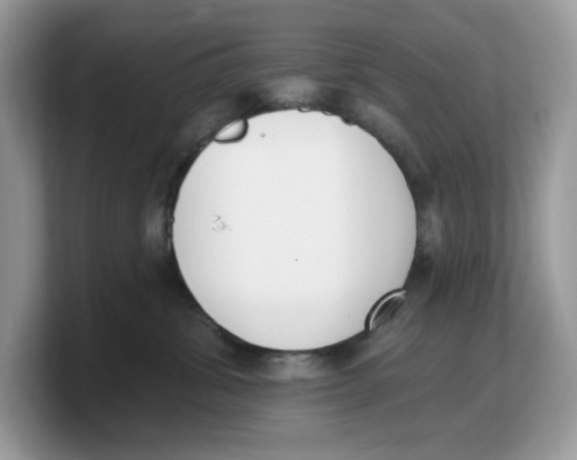 X0000103230428200809181528