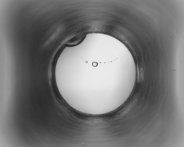 X0000103230435200809181527